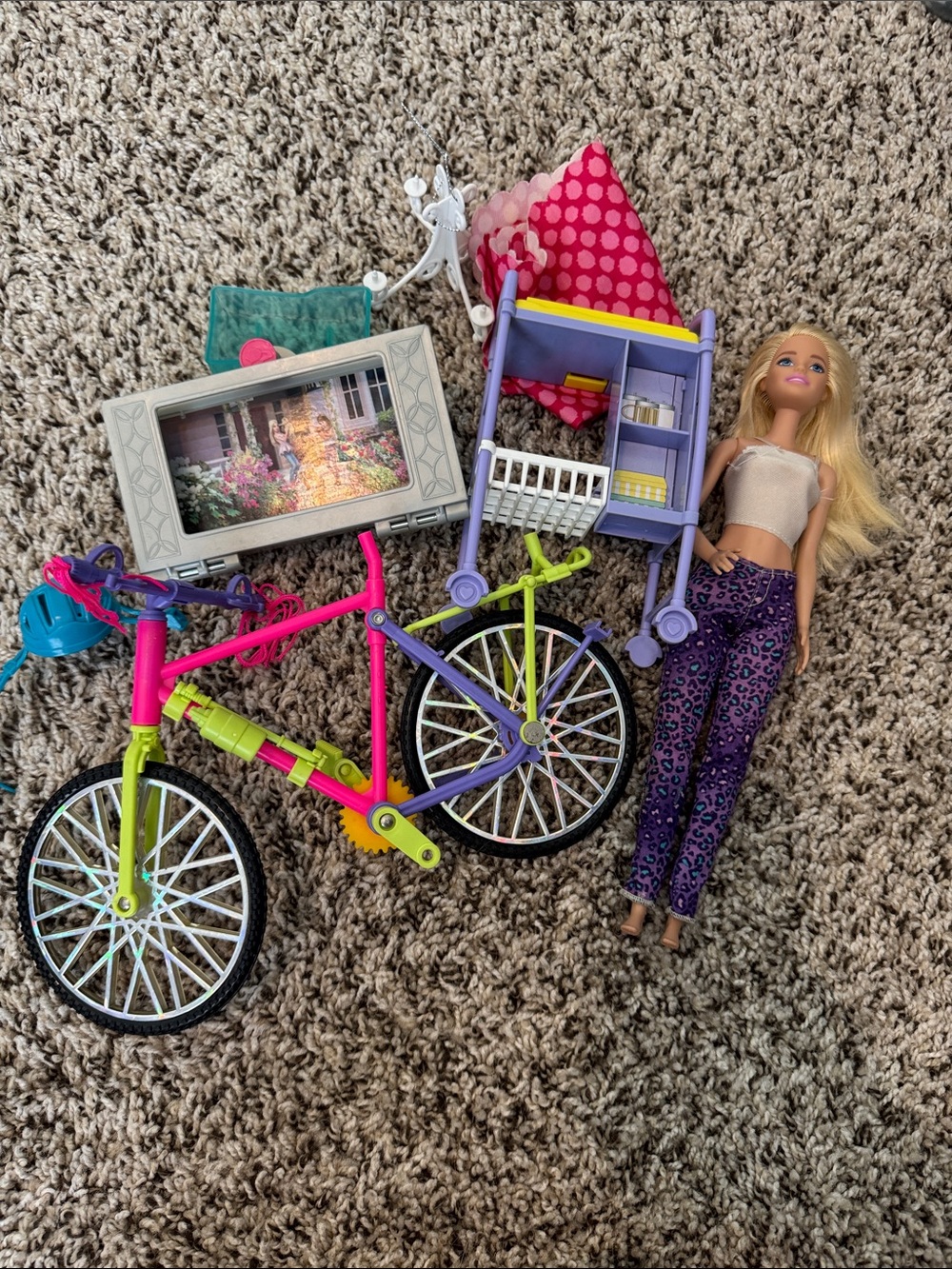 Barbie Doll with Accessories